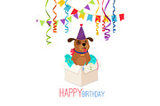 Happy birthday puppy in box card
