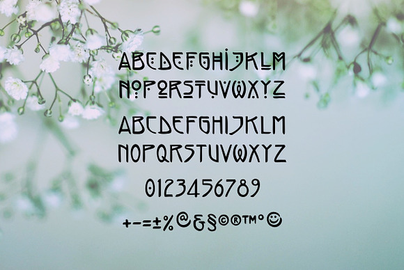 Elodie - Hand Made Art Nouveau Font in Display Fonts - product preview 5
