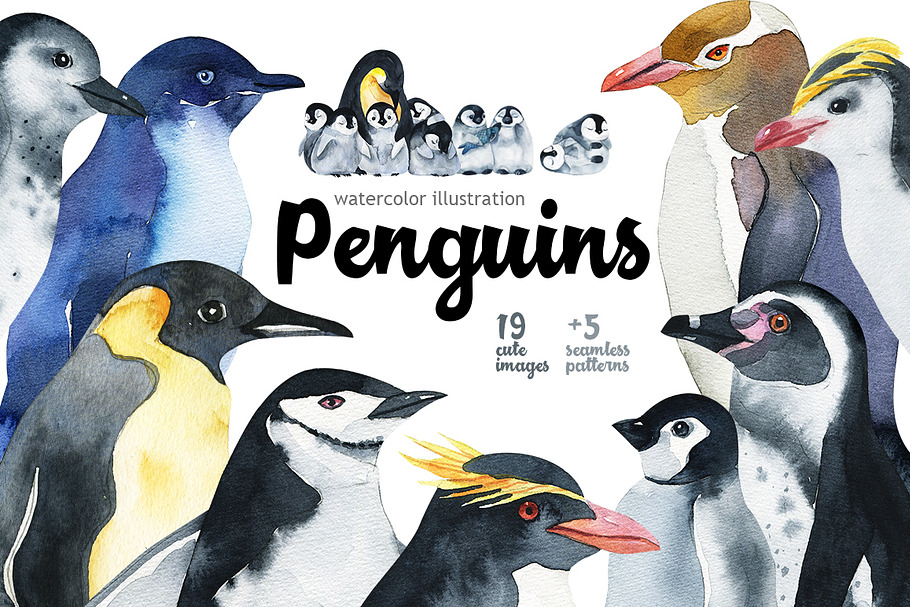 Penguins at the Pole-illustration in Illustrations - product preview 8