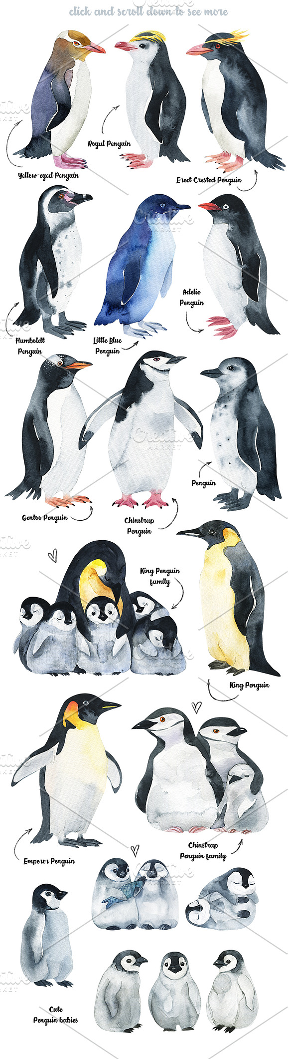 Penguins at the Pole-illustration in Illustrations - product preview 1