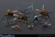 Wild Life - Insects