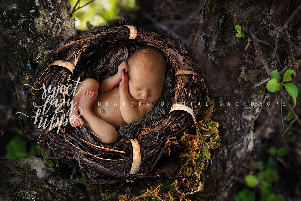 Newborn Nest Backdrop in Add-Ons - product preview 8