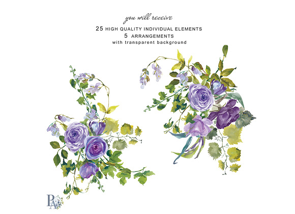 Watercolor Purple Roses Clipart in Illustrations - product preview 1