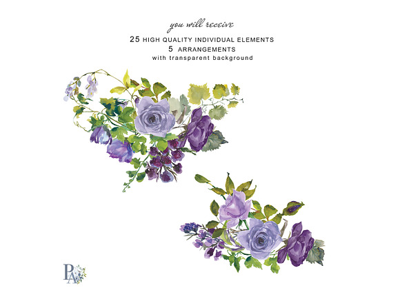 Watercolor Purple Roses Clipart in Illustrations - product preview 2
