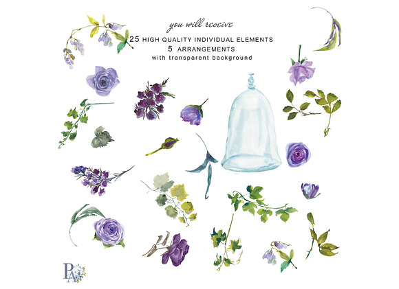 Watercolor Purple Roses Clipart in Illustrations - product preview 4