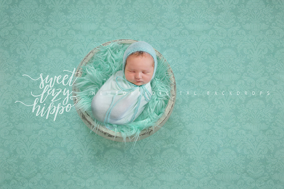Mint Newborn Digital Backdrop in Add-Ons - product preview 8