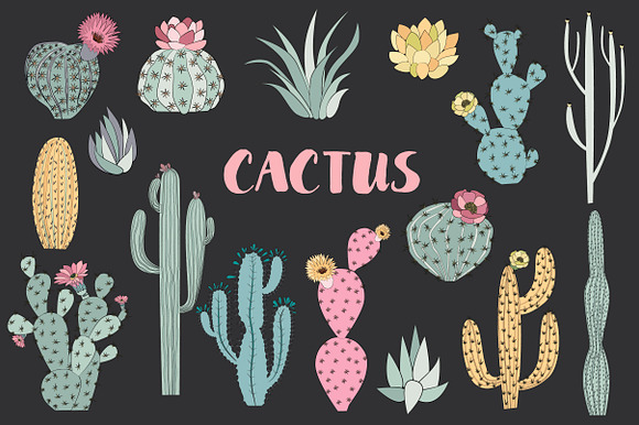 Wild & Free cactus collection in Illustrations - product preview 2