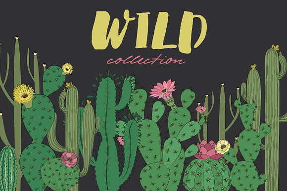 Wild & Free cactus collection in Illustrations - product preview 3