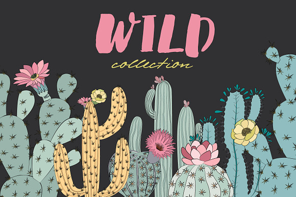 Wild & Free cactus collection in Illustrations - product preview 5