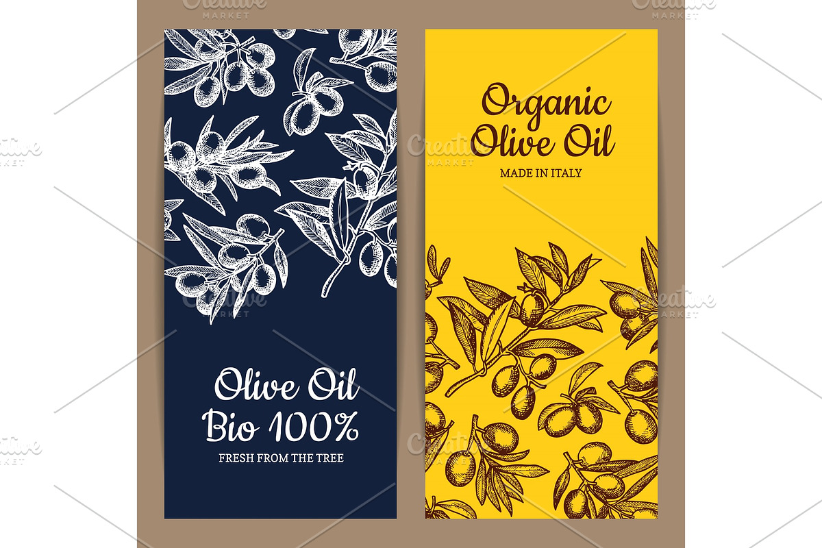 Vector card or flyer template olive branches in Graphics - product preview 8