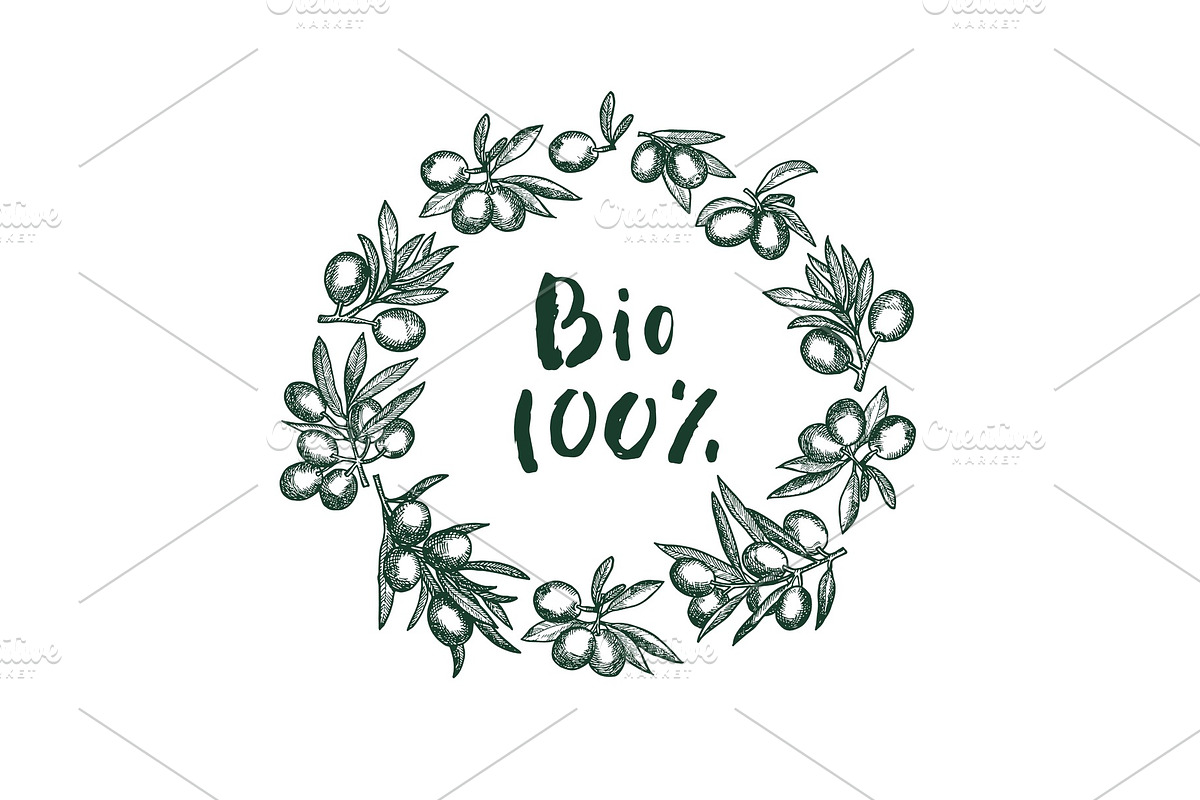 Vector hand drawn olive branches in Graphics - product preview 8