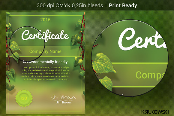Natural Certificate Template in Stationery Templates - product preview 1