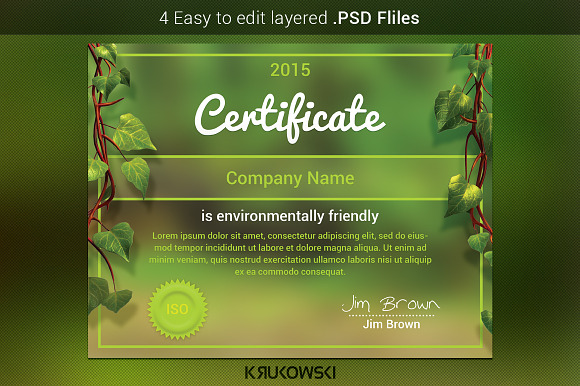 Natural Certificate Template in Stationery Templates - product preview 2