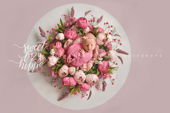 Floral Newborn Digital Backdrop in Add-Ons - product preview 2