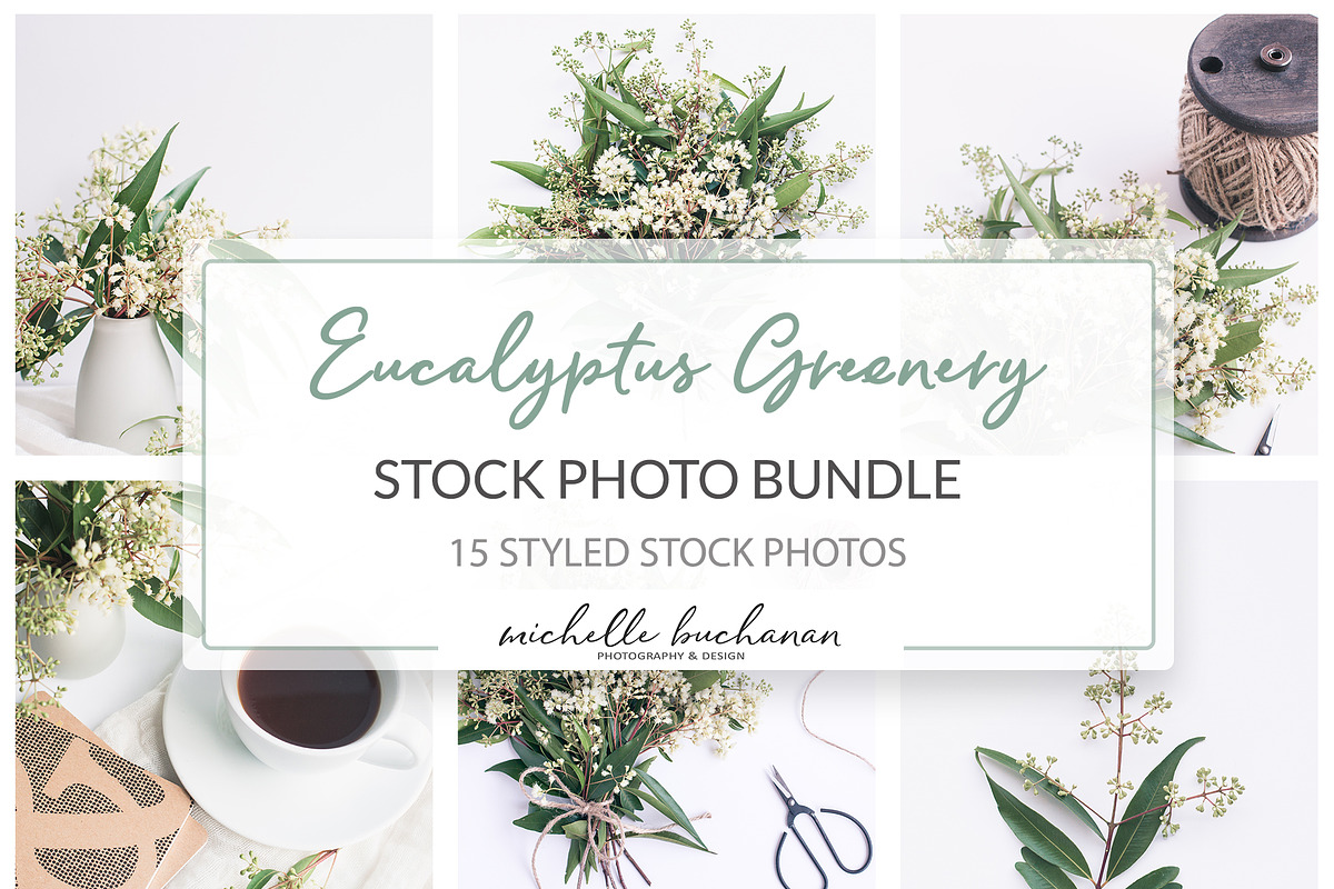 Eucalyptus Greenery Stock Bundle in Graphics - product preview 8