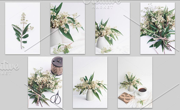 Eucalyptus Greenery Stock Bundle in Graphics - product preview 2