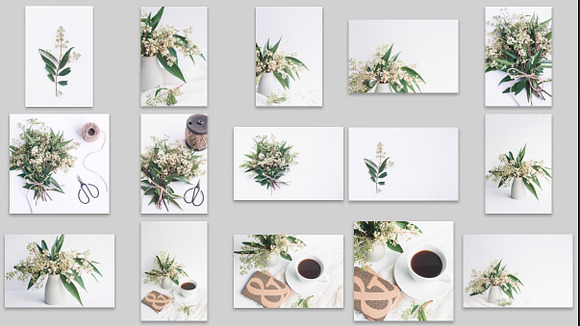 Eucalyptus Greenery Stock Bundle in Graphics - product preview 5