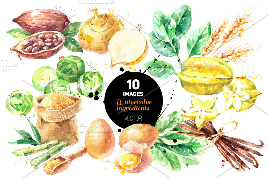 Watercolor Ingredients Vector Set in Illustrations - product preview 8