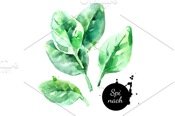 Watercolor Ingredients Vector Set in Illustrations - product preview 3