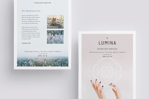 LUMINA Flyer Template in Flyer Templates - product preview 3