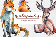 Watercolor Forest Animals – Set of 6