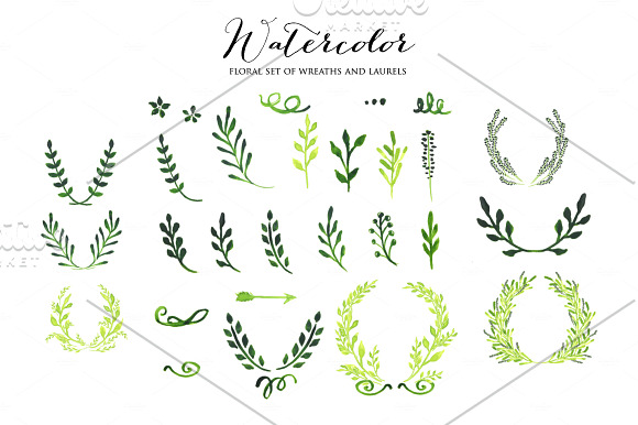 Watercolor set of 51 laurel in Illustrations - product preview 1