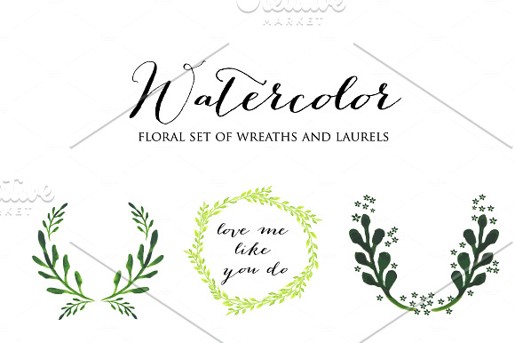 Watercolor set of 51 laurel in Illustrations - product preview 3