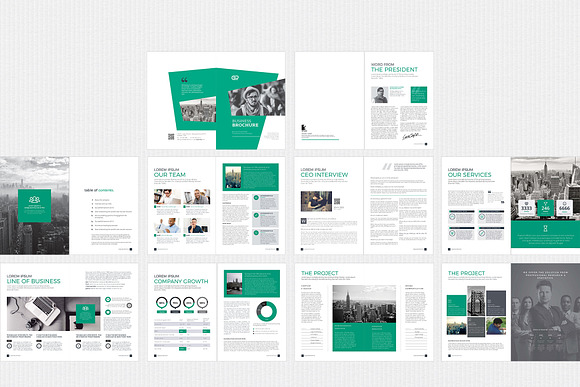Multipurpose Brochure in Brochure Templates - product preview 1