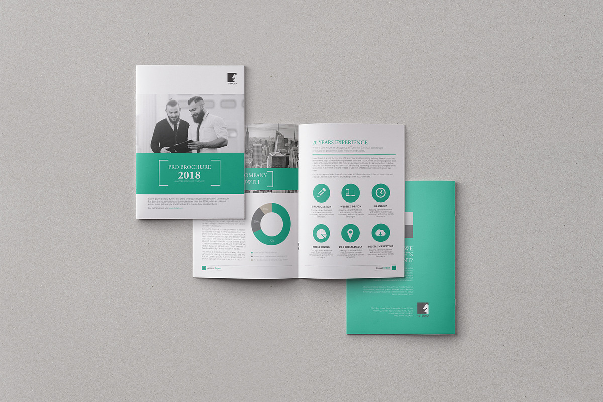 Multipurpose Business Brochure in Brochure Templates - product preview 8