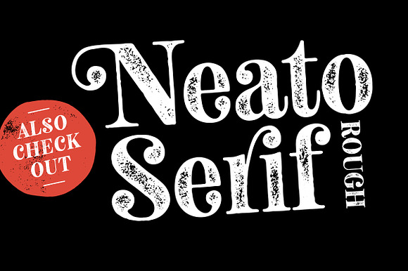 Neato Serif Font Family in Serif Fonts - product preview 13