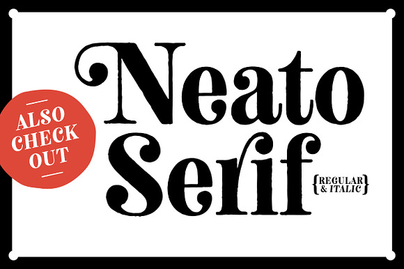 Neato Serif Rough Fonts - 50% Off in Serif Fonts - product preview 13