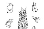 fruits in sketch style, hand drawn 