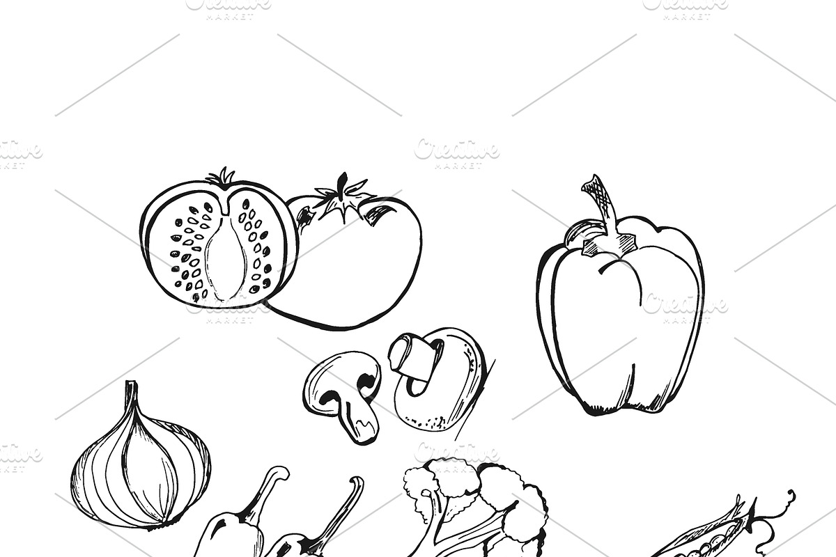 vegetables in sketch style, hand  in Illustrations - product preview 8