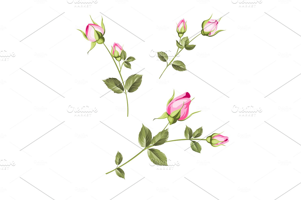 Spring flowers set. in Illustrations - product preview 8