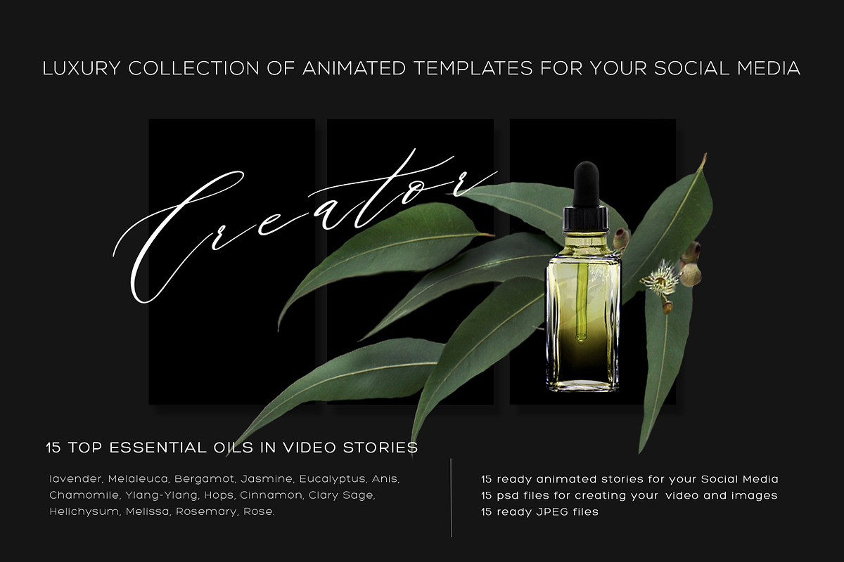 ANIMATED STORIES. LUXURY COLLECTION. in Pinterest Templates - product preview 8