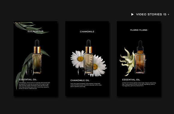 ANIMATED STORIES. LUXURY COLLECTION. in Pinterest Templates - product preview 3