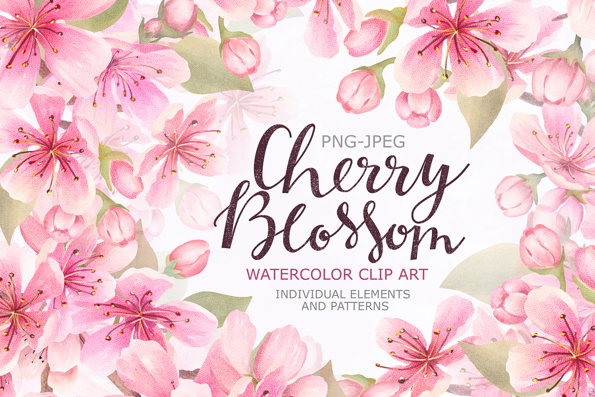 Cherry Blossom Watercolor in Illustrations - product preview 8