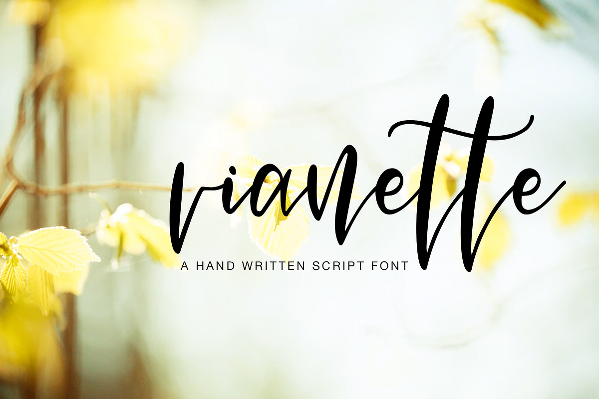 Vianette Hand Made Script Font in Script Fonts - product preview 8