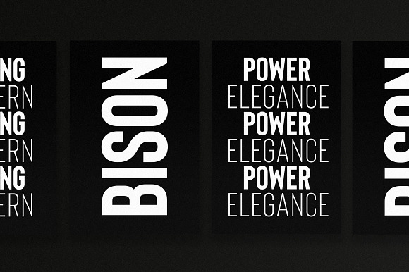 Bison - A Powerful Sans Serif in Sans-Serif Fonts - product preview 1