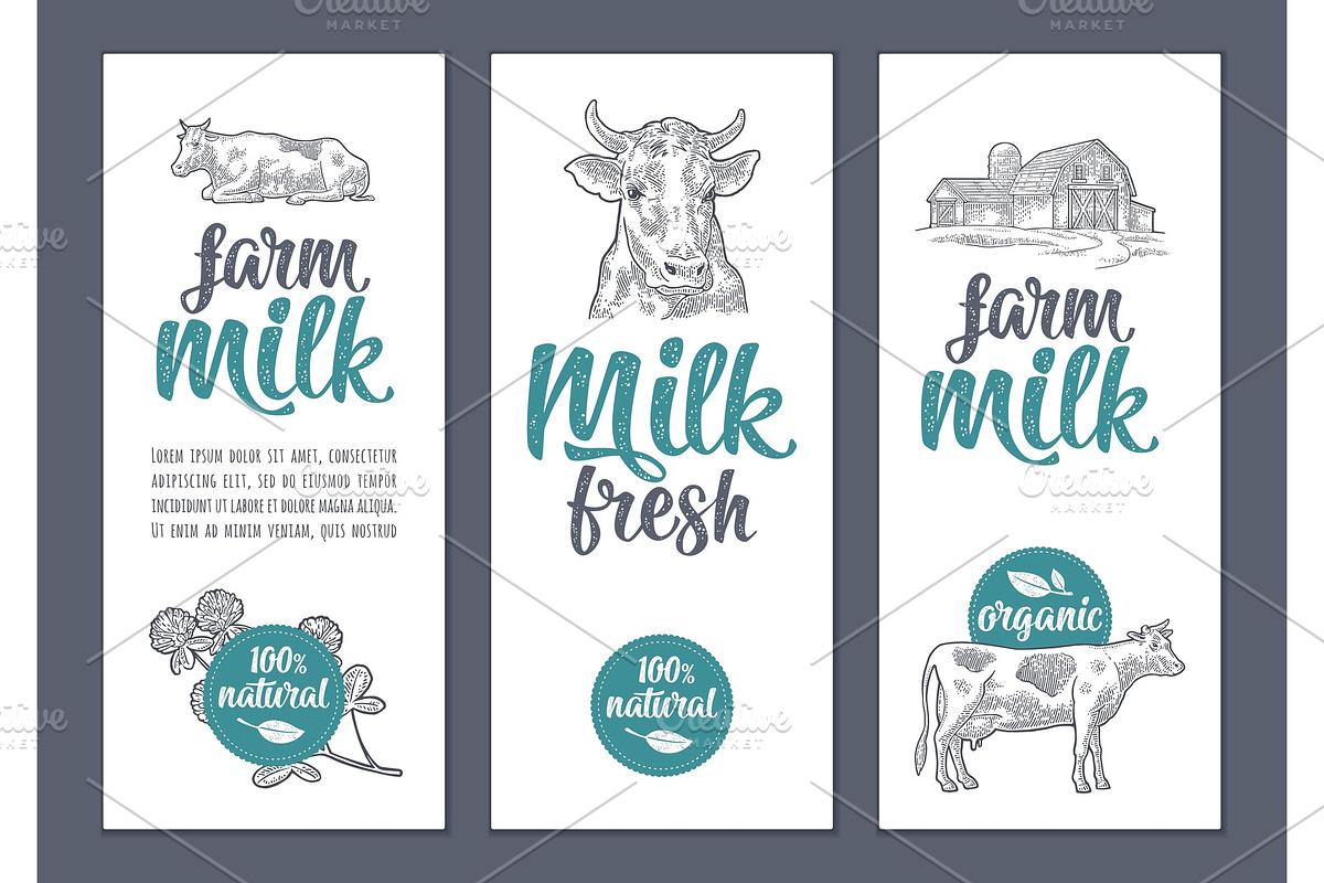Template poster or label with cow and clover. Farm milk lettering in Illustrations - product preview 8