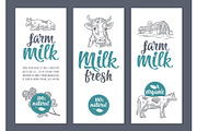 Template poster or label with cow and clover. Farm milk lettering