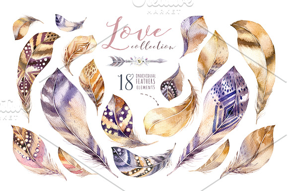 Feather love collection in Illustrations - product preview 4