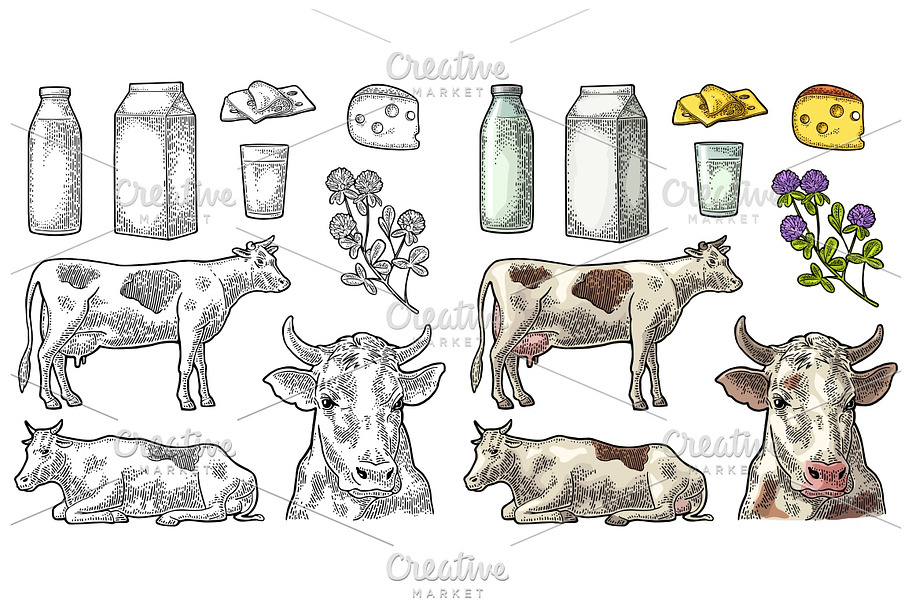 Set Milk farm. Cow clover box bottle in Illustrations - product preview 8