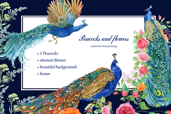 Peacocks and flowers/watercolor