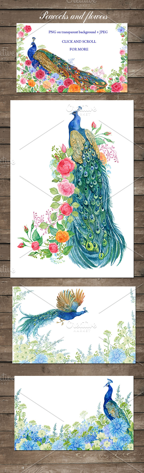 Peacocks and flowers/watercolor in Illustrations - product preview 2