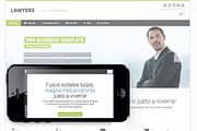 Law firm responsive theme