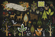 Chalkboard Woodland Animals Clipart