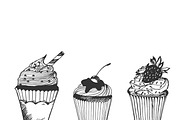 Cupcakes in sketch style, hand drawn