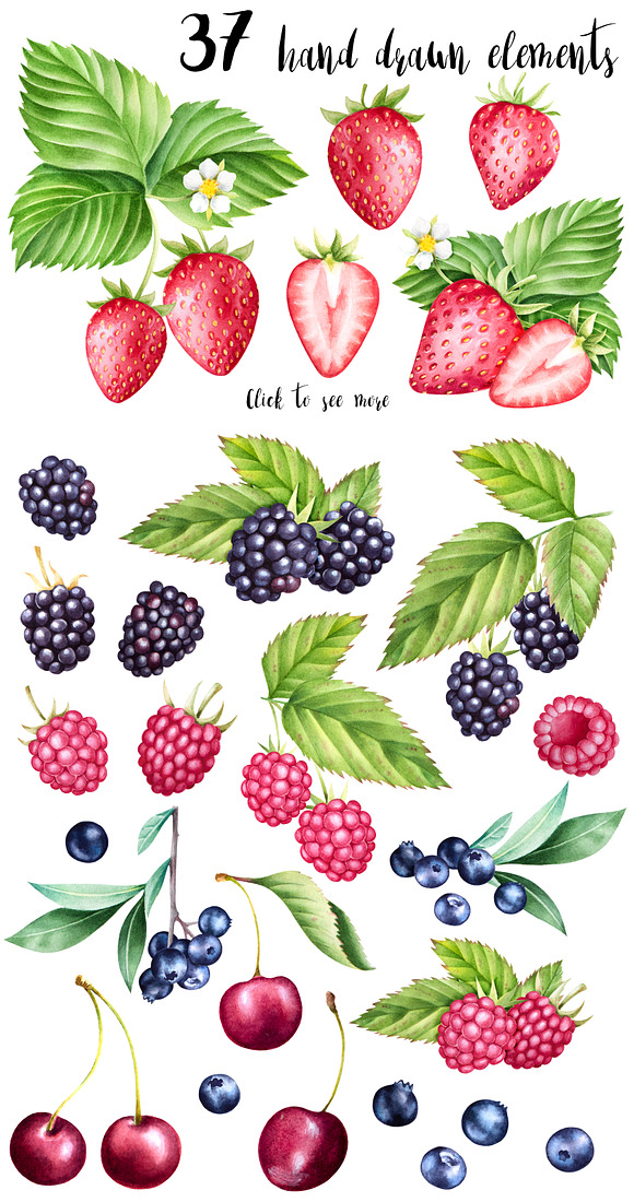 Watercolor berries collection in Illustrations - product preview 1