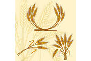 Background with ripe yellow wheat ears